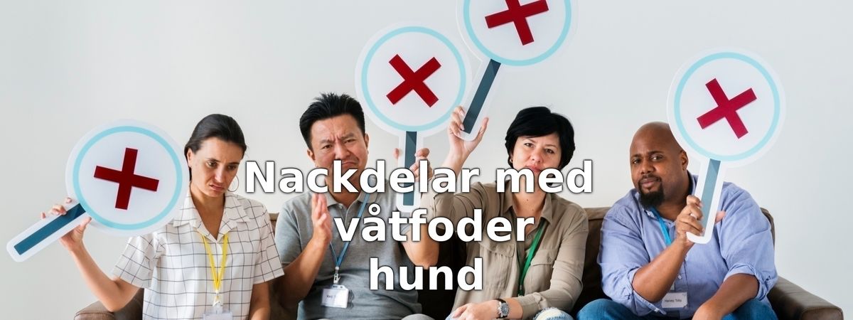 Nackdelar med våtfoder för hund