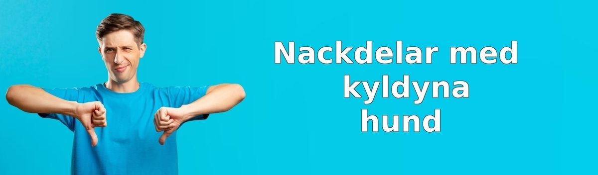 Nackdelar med kyldynor för hund