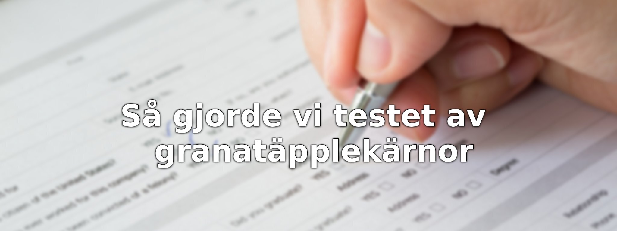 Så testade vi granatäpplekärnorna