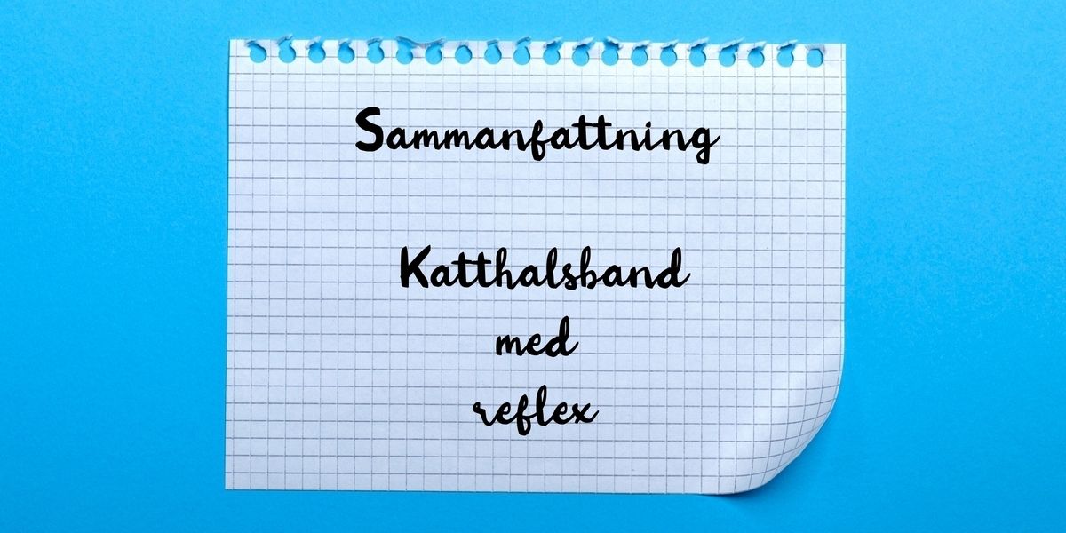Sammanfattning