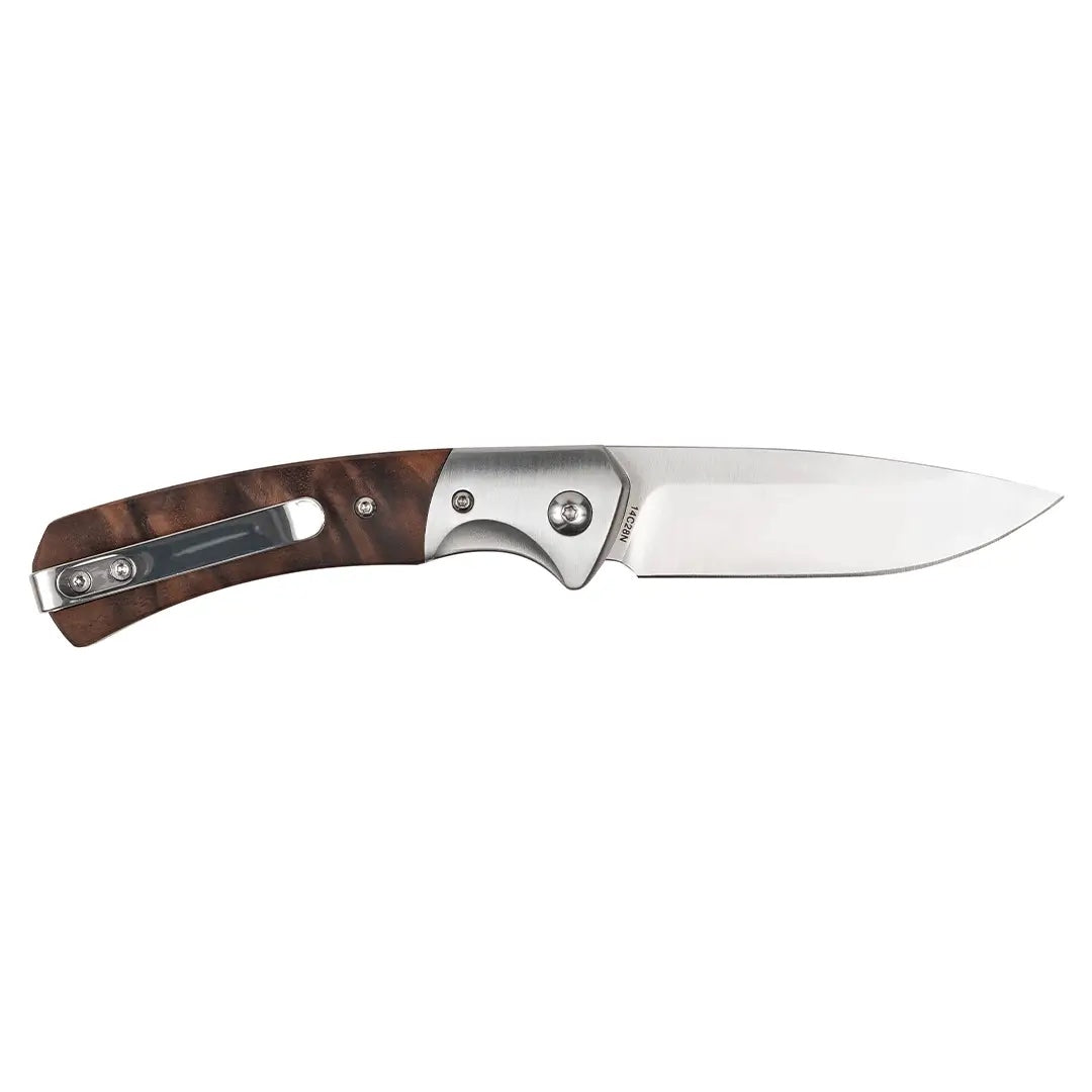 Blaser Classic 110