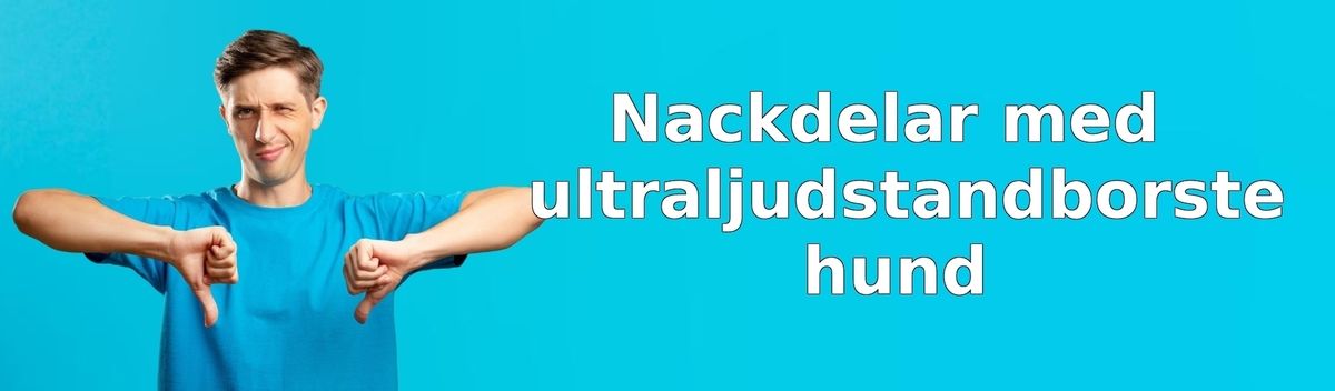 Nackdelar med ultraljudstandborste för hund