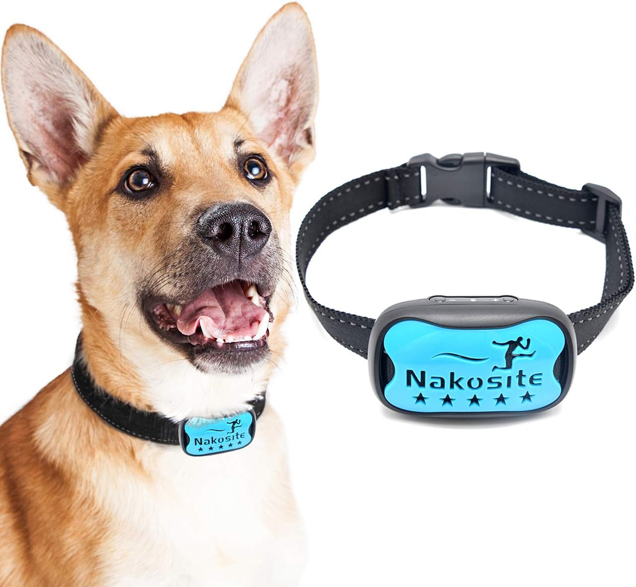 Nakosite DOG2433