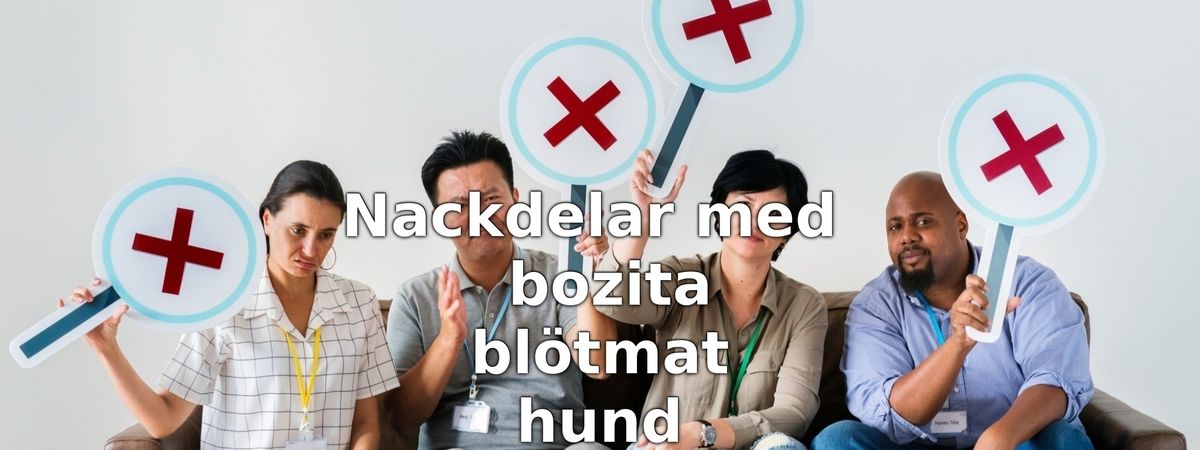 Nackdelar med Bozita blötmat