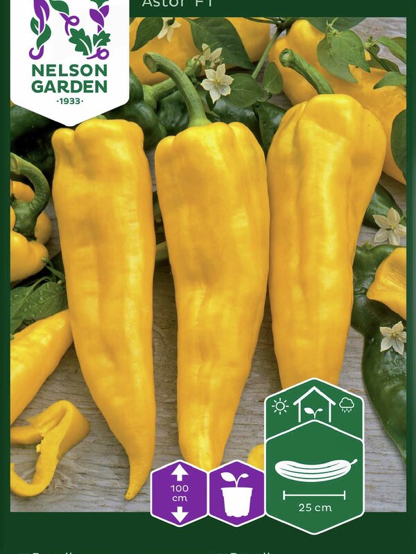 Nelson Garden Paprika Astor F1