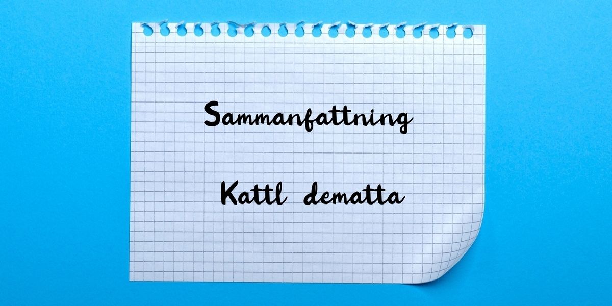 Sammanfattning