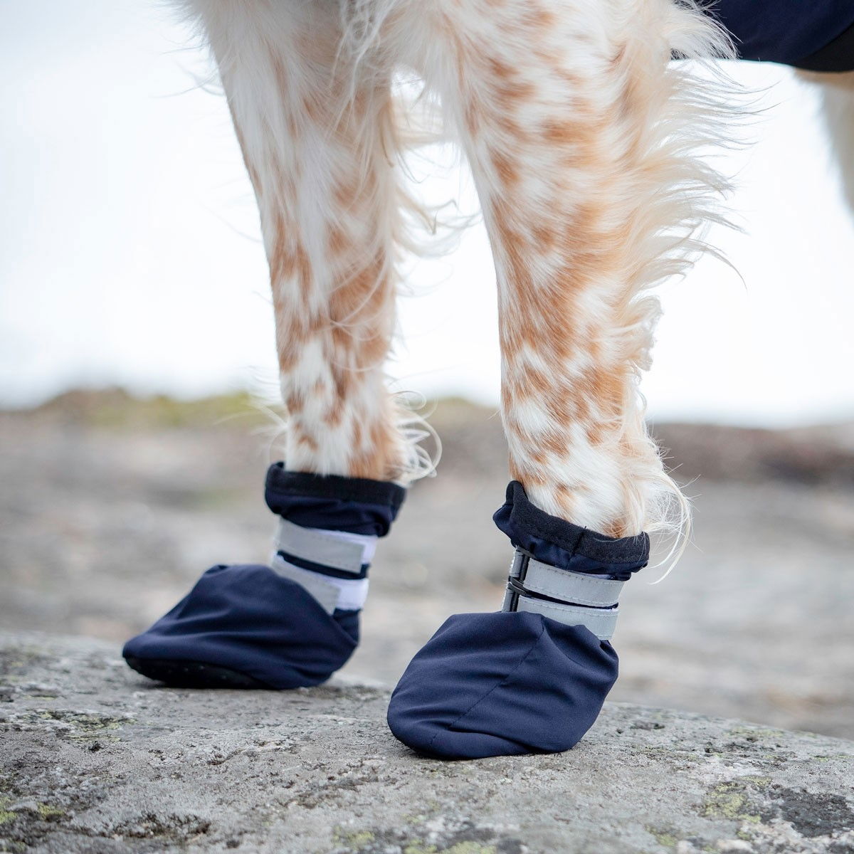 Feel Active Snow Hundstrumpor 2-pack