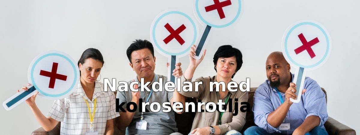 Nackdelar med rosenrot