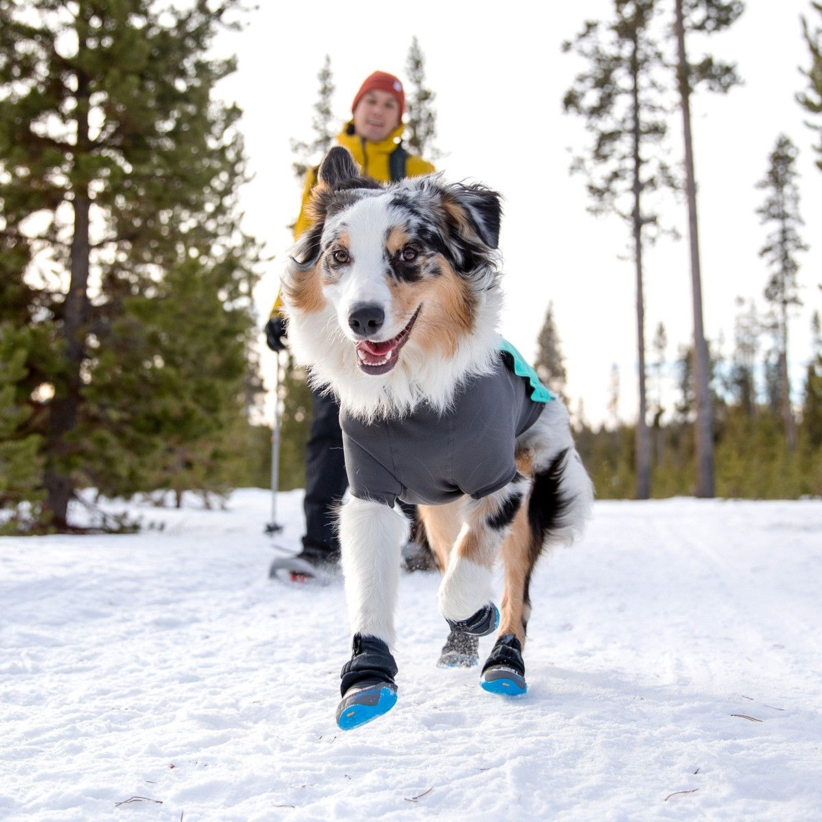 Ruffwear Polar Trex hundskor 2-pack