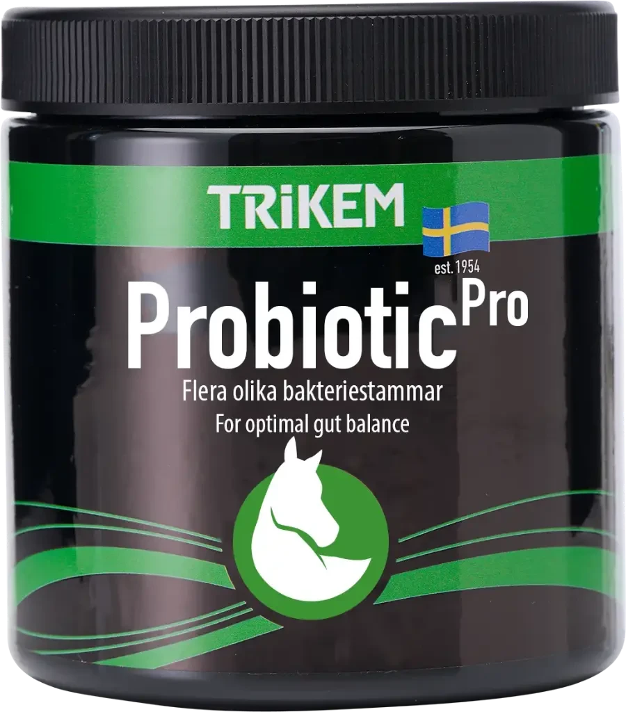 Probiotikan till hästar