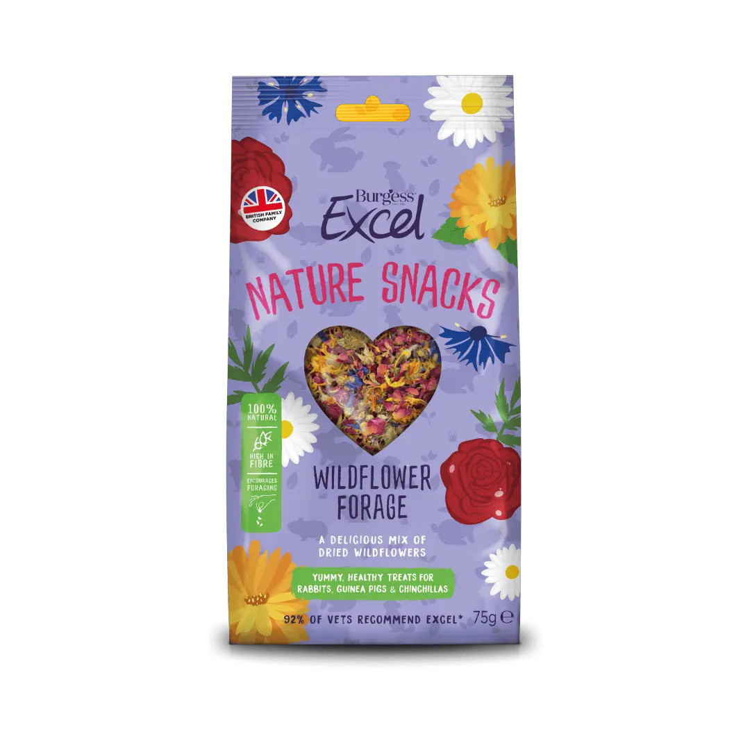 Burgess Excel Natures Snack Wildflower 75 g