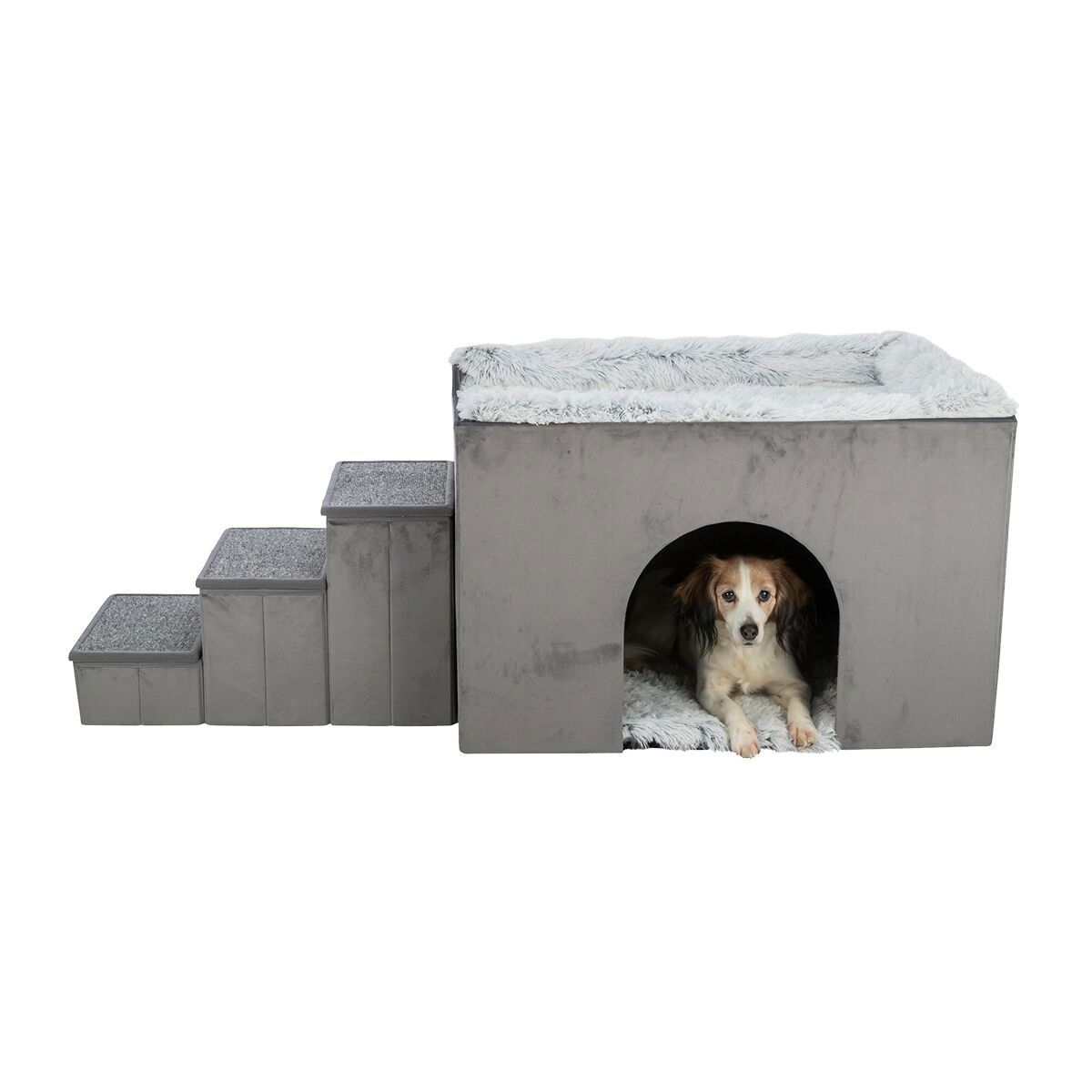 Hundkojan inomhus