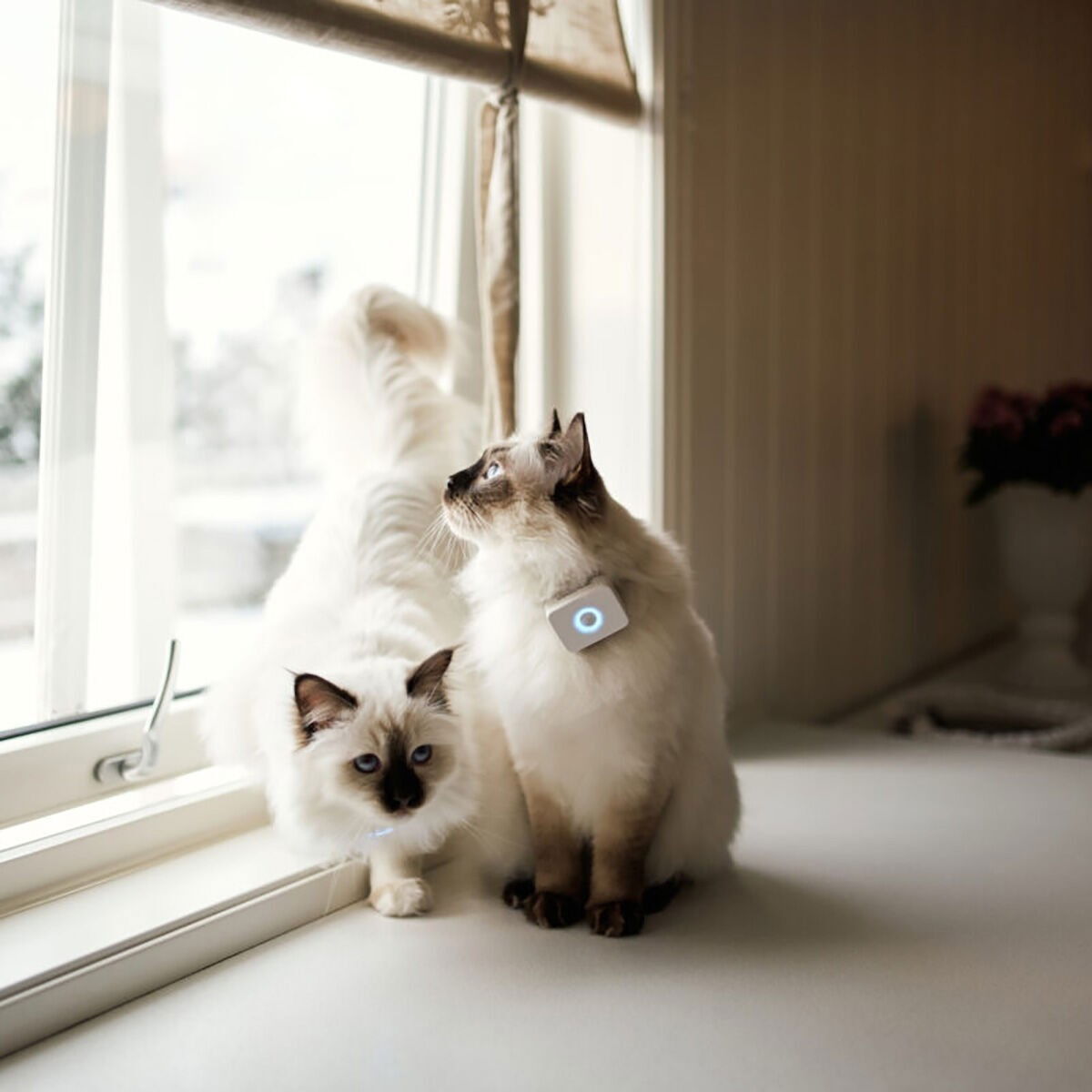 Lilcat GPS-tracker