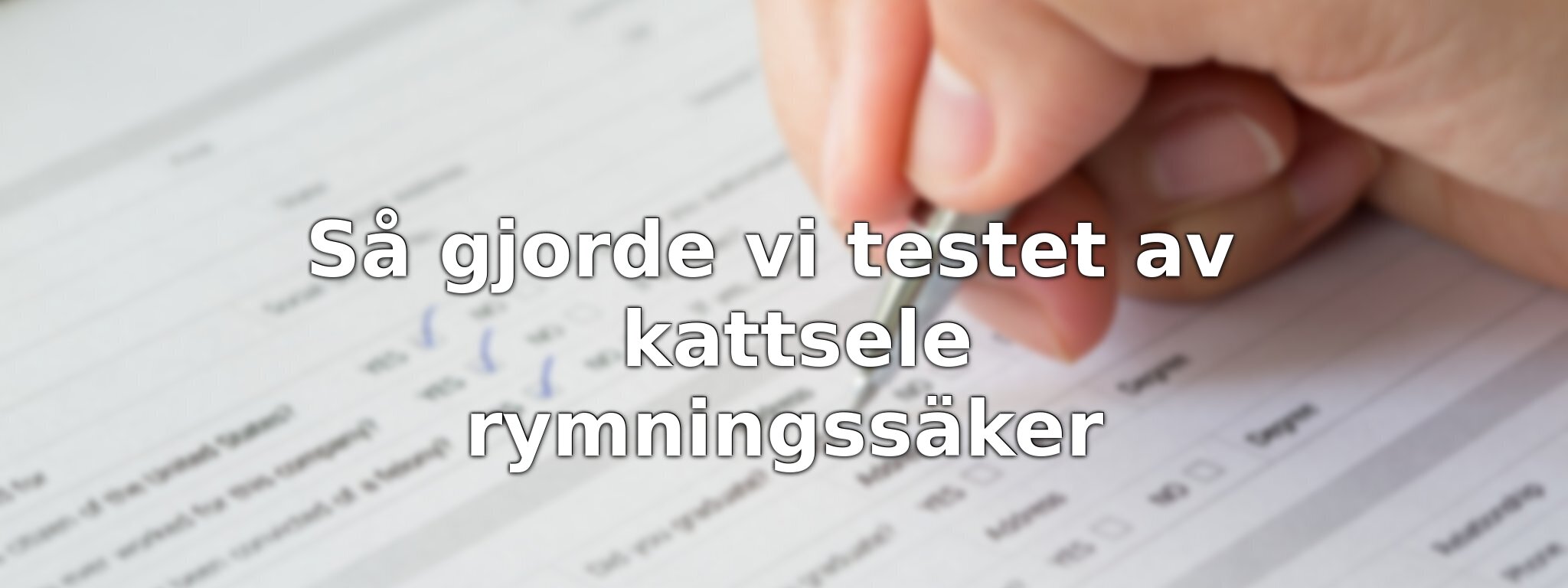 Så har vi jämfört rymningssäkra kattselar