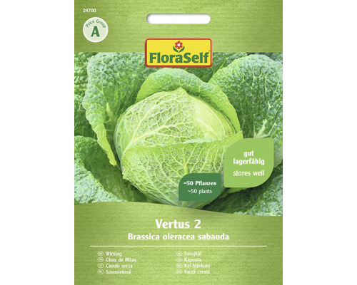 FloraSelf Savojkål 'Vertus 2'