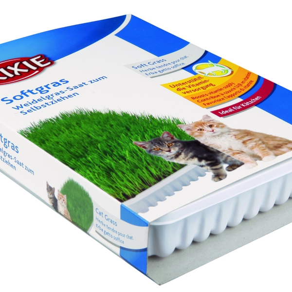 Trixie Kattgräs vitaminberikat med odlingslåda 100 g