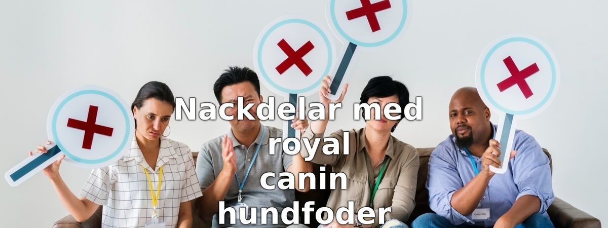 Nackdelar med Royal Canin hundfoder