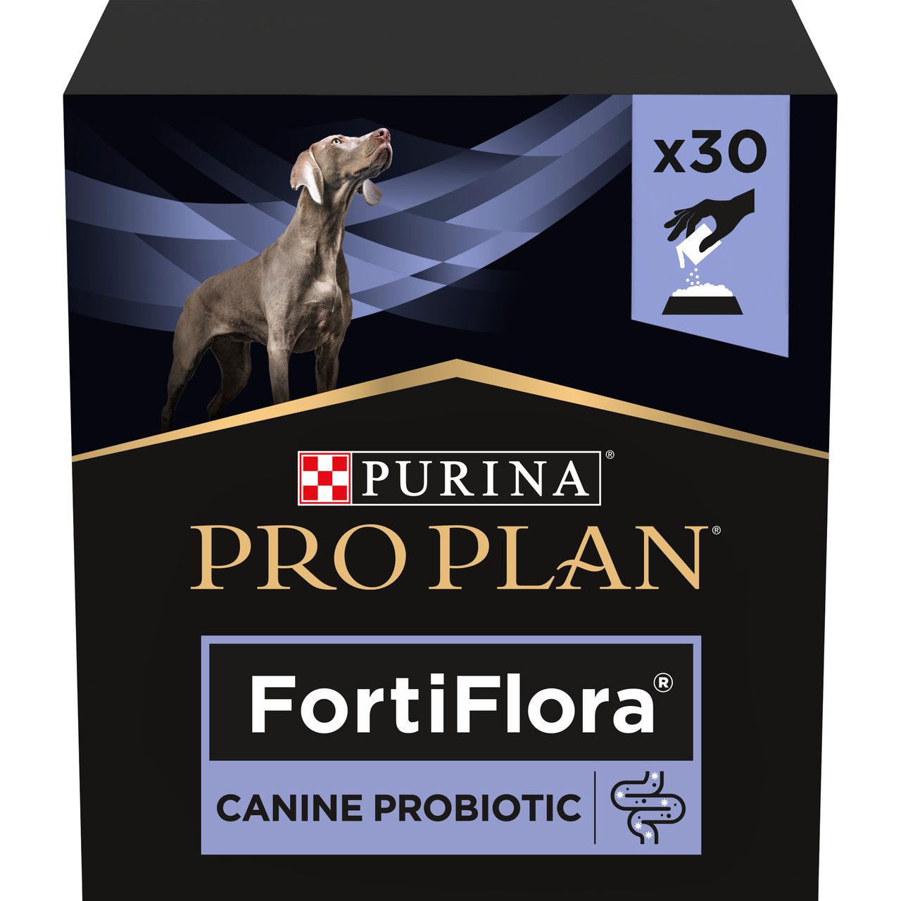 Probiotikan för hund