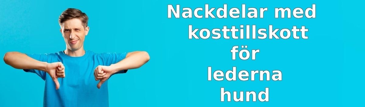 Nackdelar med kosttillskott för hundens leder
