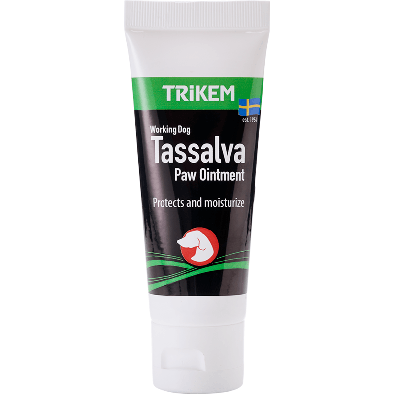 Tassalvan