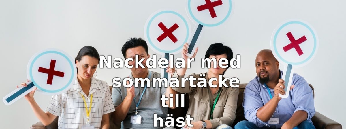 Nackdelar med sommartäcke till häst