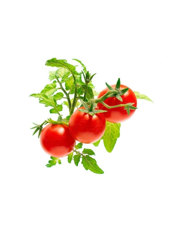 Click & Grow Mini Tomato (3 kapslar)