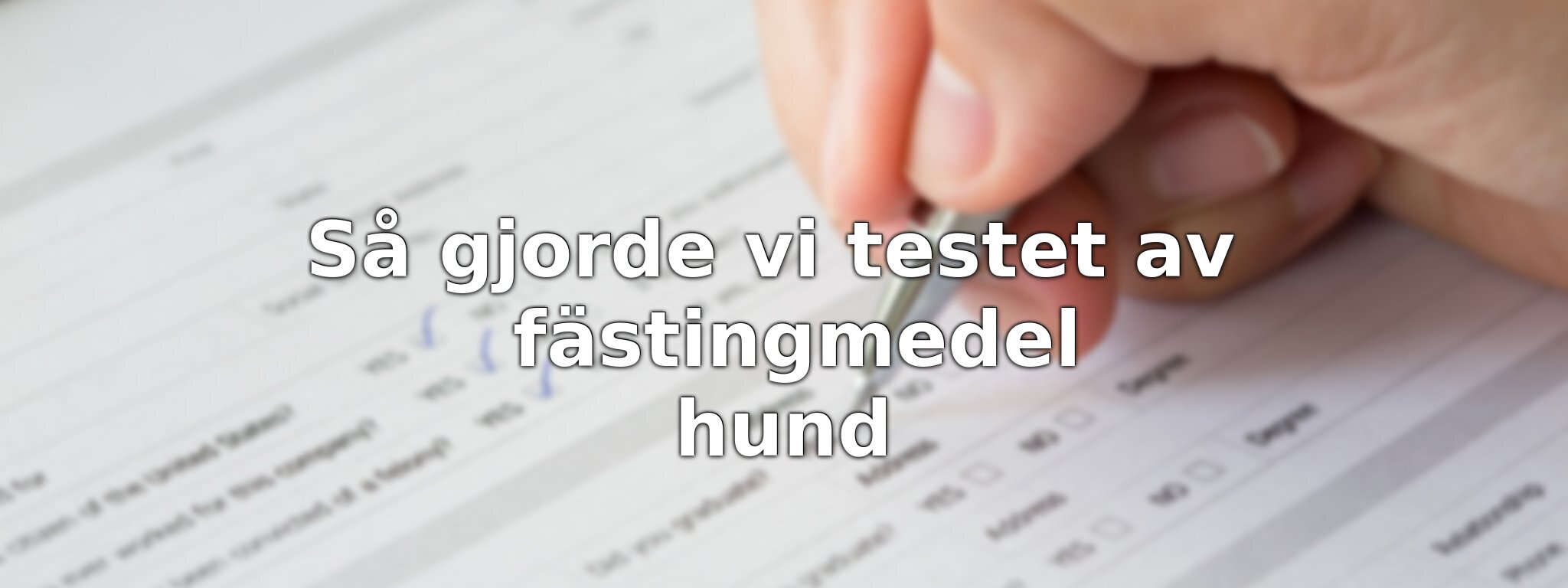 Så testade vi fästingmedel för hundar