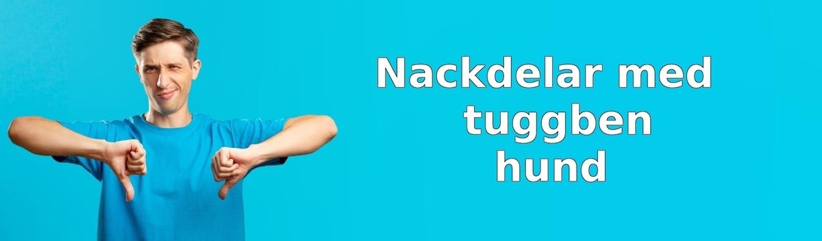 Nackdelar med tuggben för hund