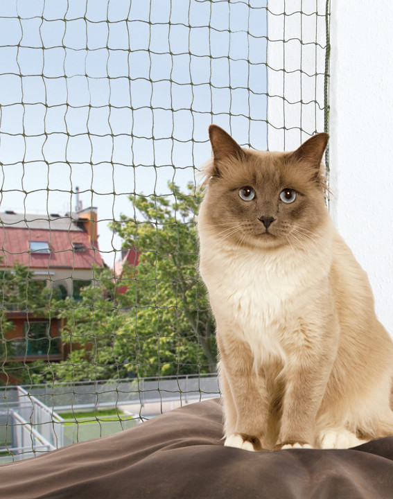 Kattnätet balkong