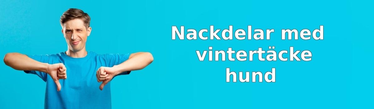 Tänk på detta innan du köper ett vintertäcke till hunden