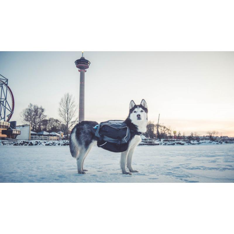 Non-stop dogwear Amundsen Pro-dog Backpack