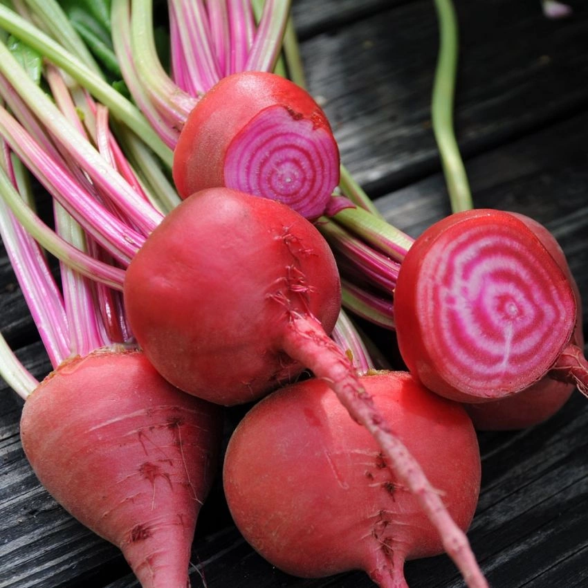 Rödbeta 'Chioggia', 200 frö
