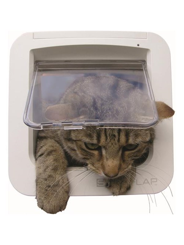 Kattluckan