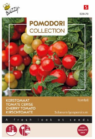 Tomfall ampeltomat (Tuinplus)