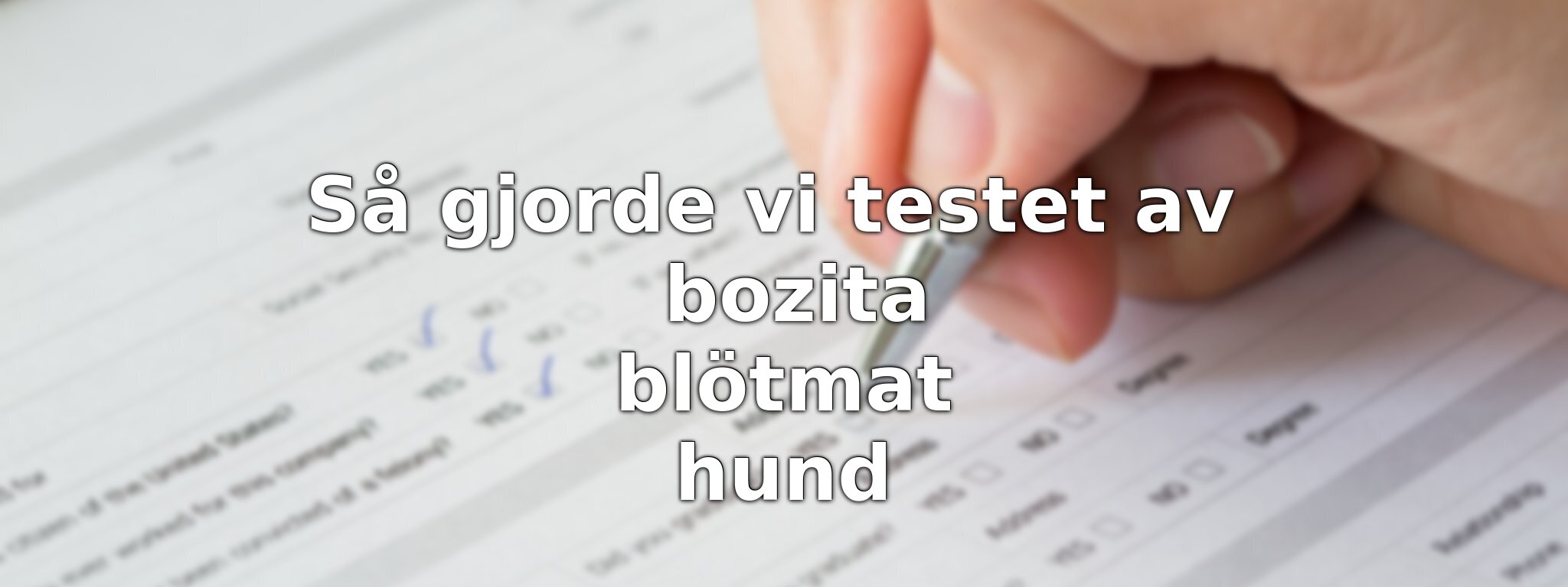 Så har vi jämfört Bozitas blötmat för hund