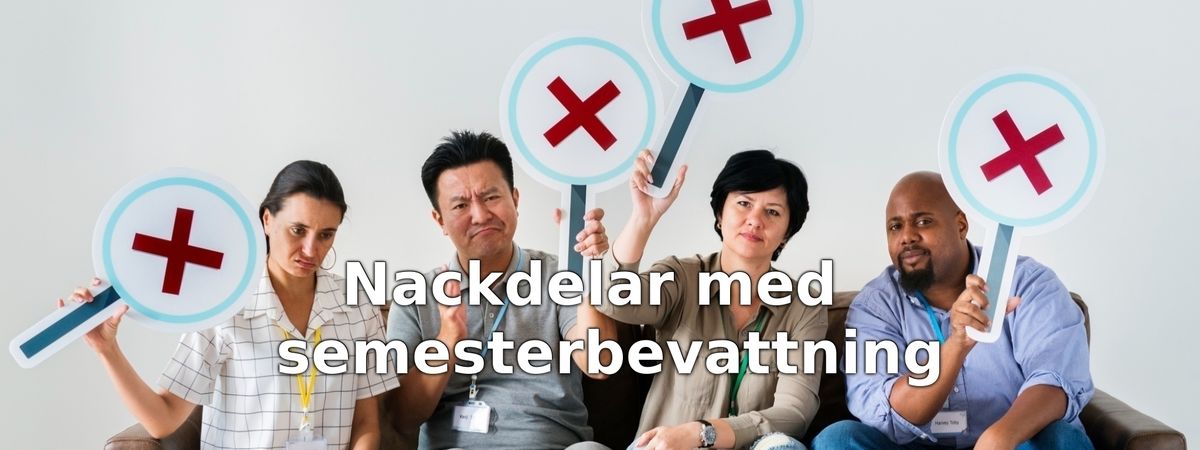 Tänk på detta innan du köper semesterbevattning
