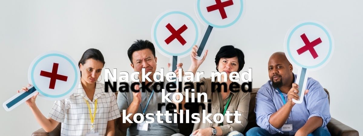Nackdelar med kolintillskott