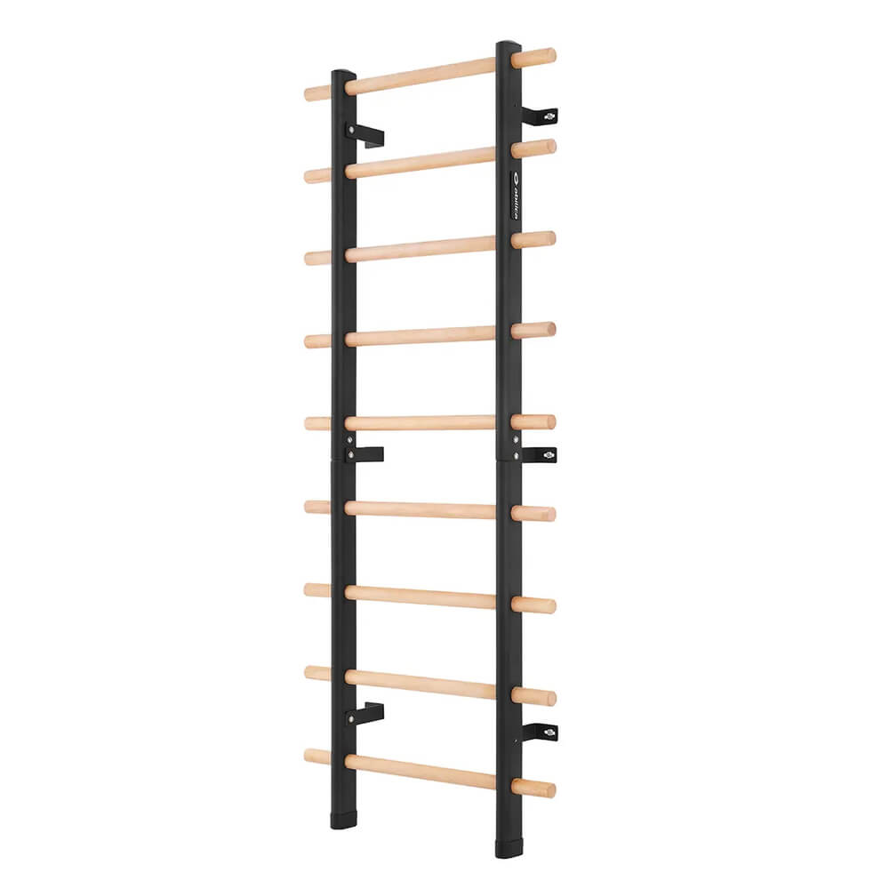 Ribbstolen