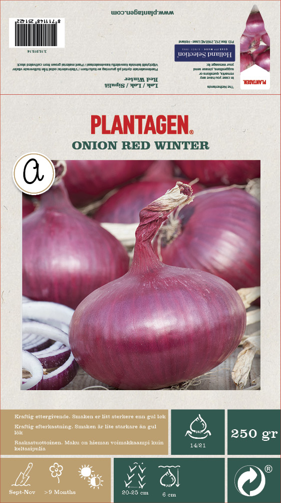 Plantagen Rödlök Red Winter 250 g