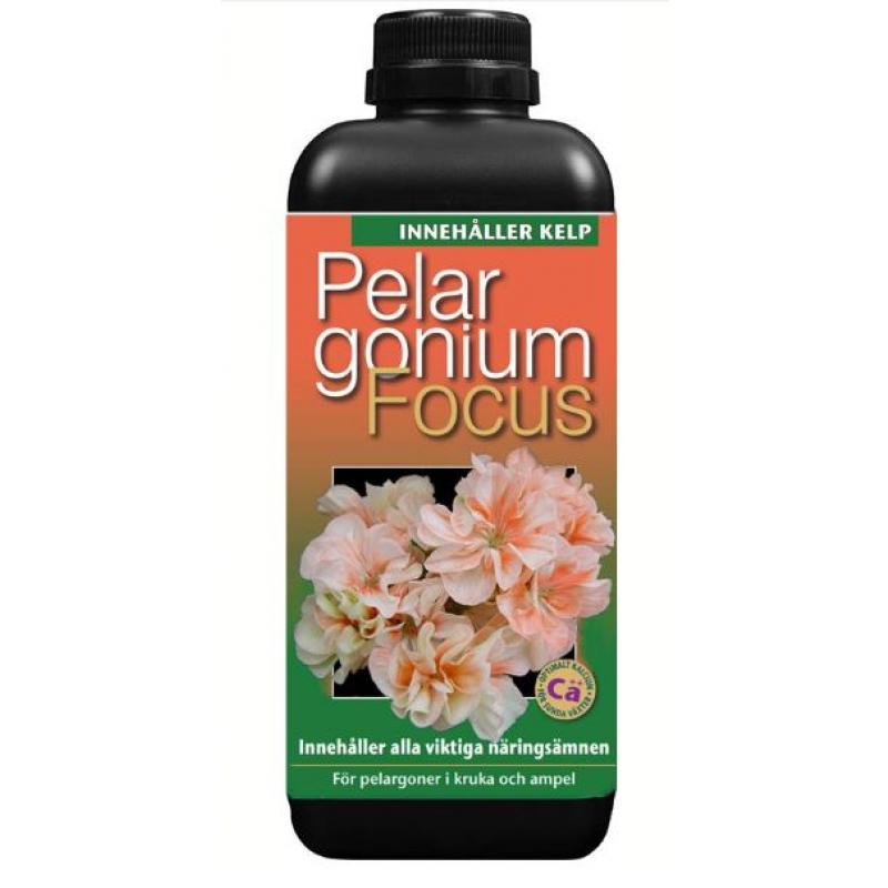Pelargonium Focus Pelargonnäring 300 ml