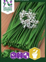 Nelson Garden Kinesisk gräslök 'Garlic oriental'