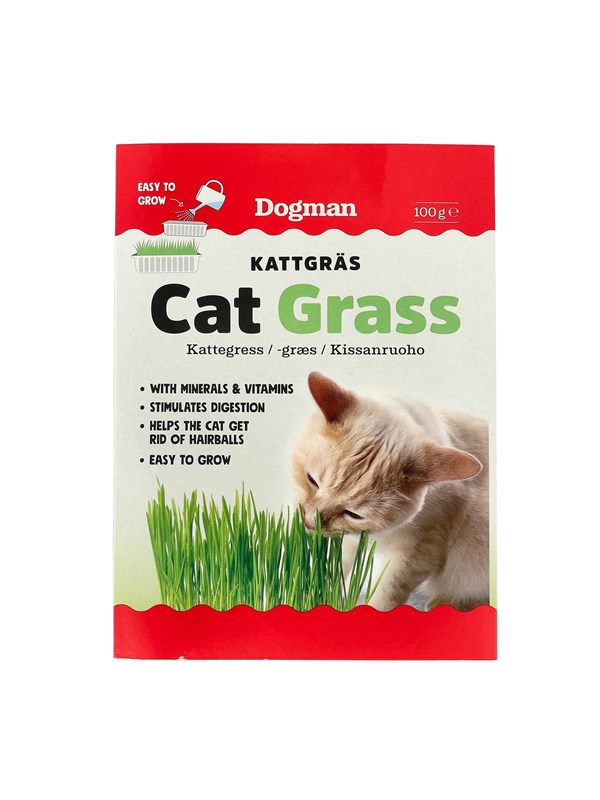 Kattgräset