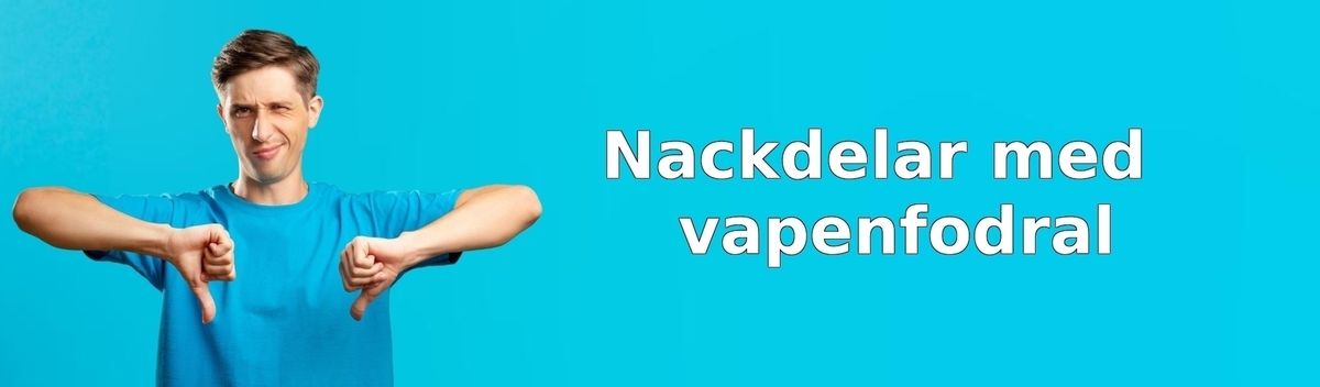 Nackdelar med vapenfodral