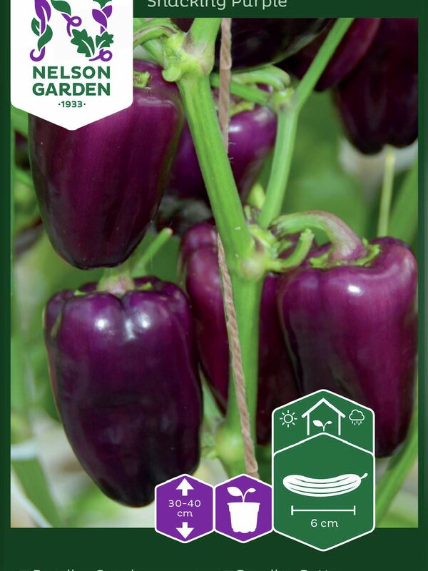 Nelson Garden Snackpaprika Snacking Purple