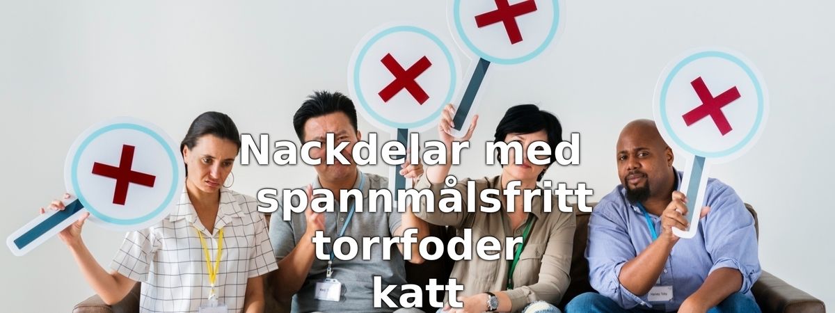 Nackdelar med spannmålsfritt torrfoder för katt