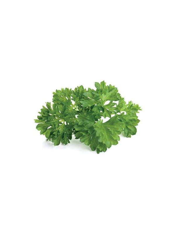 Click & Grow Persilja (3 kapslar)