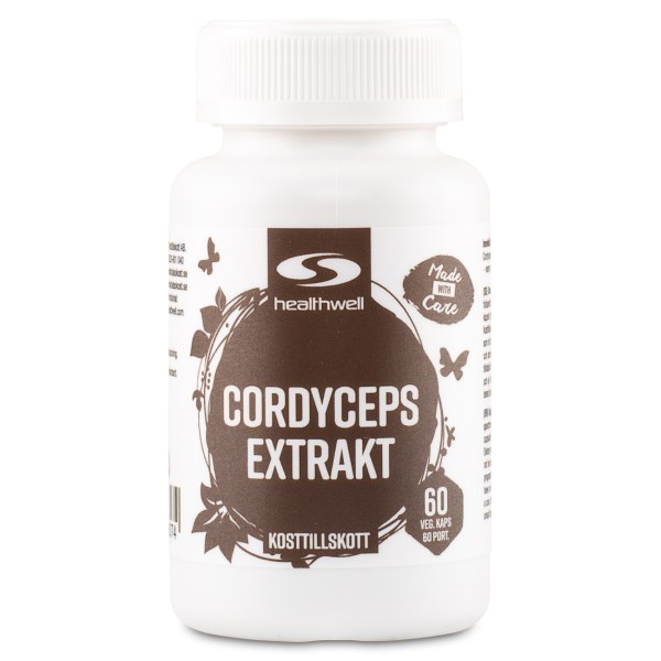 Cordyceps
