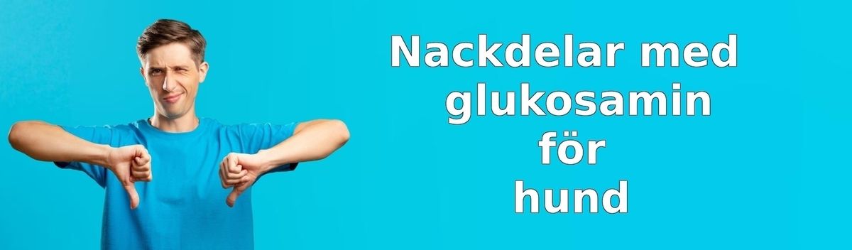 Nackdelar med glukosamin för hund