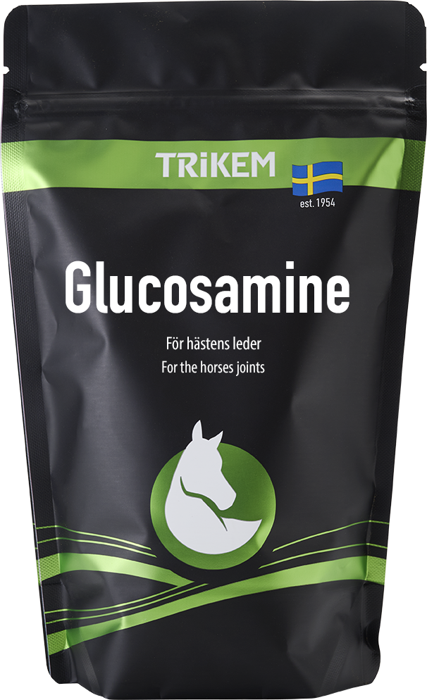 Glukosaminet till häst