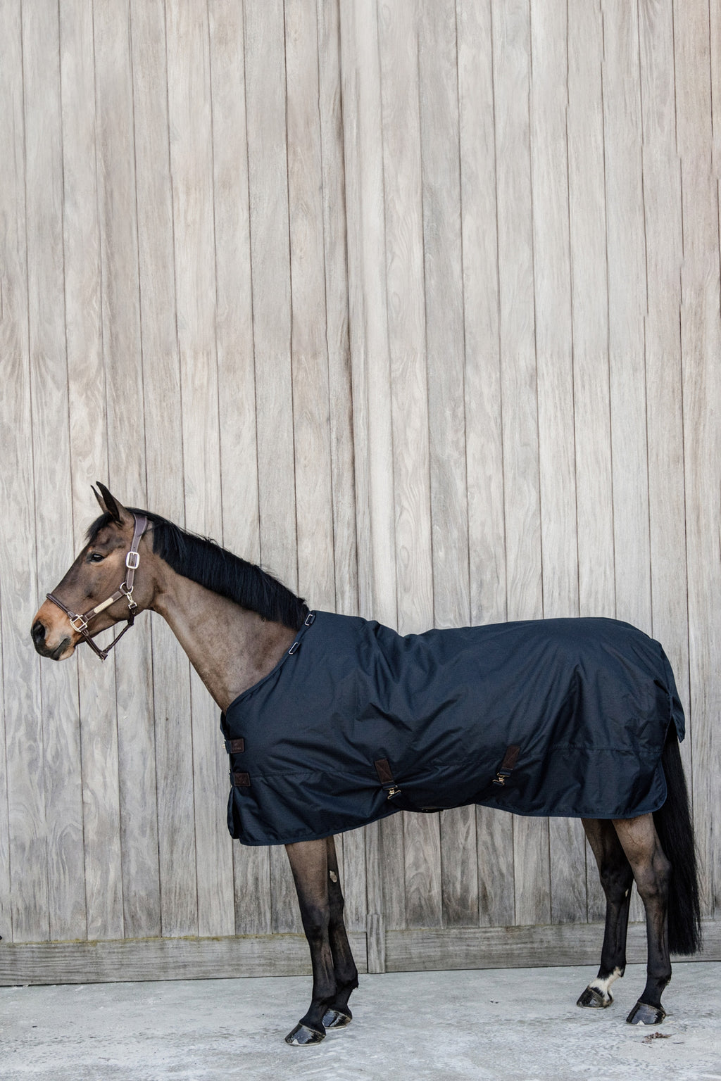 Kentucky All Weather Waterproof Classic 50 g, 145 cm